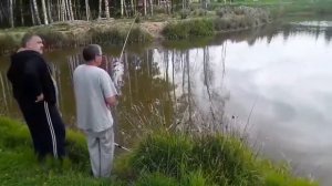 Ловля Карпа | Частный пруд 2019