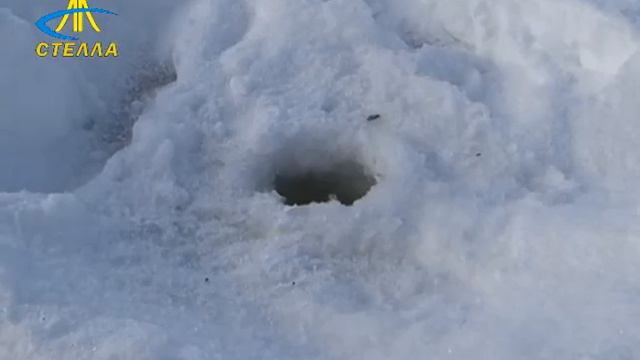 Безопасный лед. Профилактический рейд МЧС. смотреть онлайн