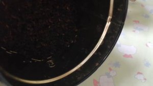 Как заварить вкусный чай