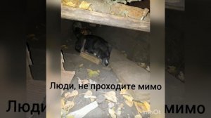 В этом мире огромном, в котором живем я и ты Не хватает тепла, не хватает людской доброты