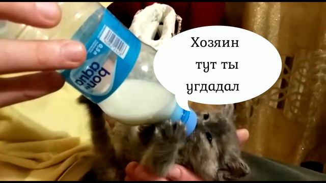 Хочу кушать! смотреть онлайн