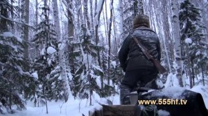 Соболь. Охота с А. Галаховым.