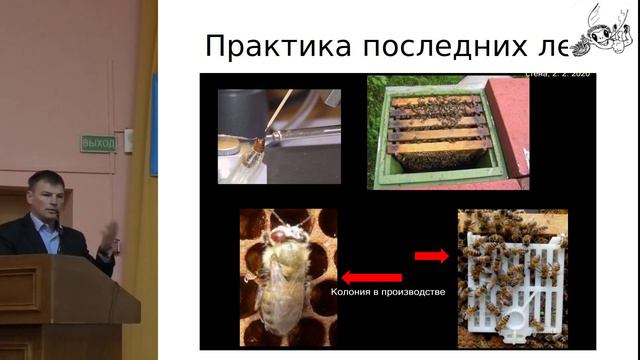 Разведение пчёл, устойчивых к клещу Varroa Destructor. Доклад Марата  Никитенко/ @aratnikitenko9645