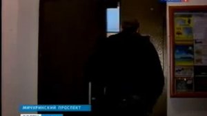 Внезапный приступ агрессии бультерьера