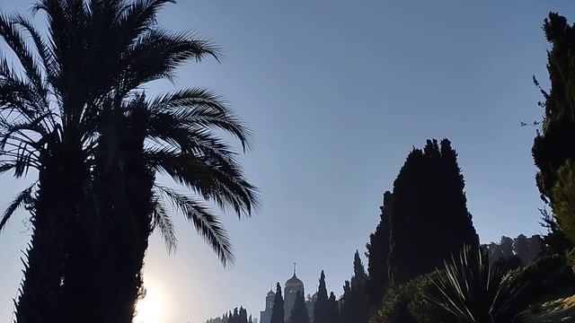 Gornensky Convent Солнышко взошло. смотреть онлайн