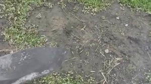 Мачете своими руками - первый опыт