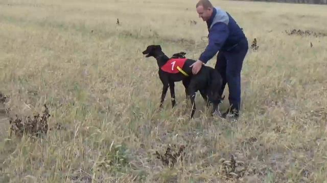 Полевые испытания 2018 тацинский район смотреть онлайн