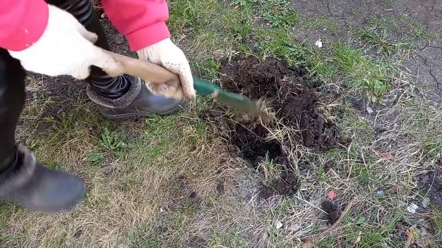 Накопали червей, но на рыбалку не пойдем смотреть онлайн