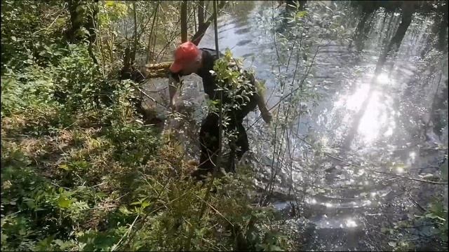 Поход за живцом на Самобеглой повозке "Ока" смотреть онлайн