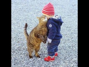 Смешные дети и животные