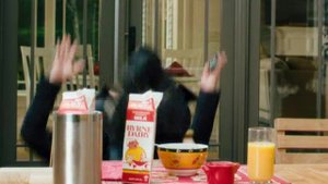 Месть пушистых