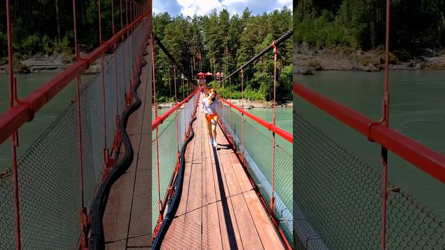 Просто момент из поездки на Алтай #россия #сибирь #алтай