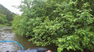 Супер рыбалка на реке Лангери на Симу и бонус река Малая Лангери с высоты птичьего полета