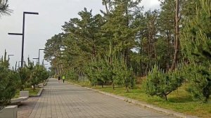 Кобулети - небольшой город-курорт на побережье Черного Моря. Достопримечательности Кобулети (Грузия