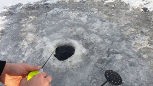 ПРИКОРМ ОКУНЯ И ЛОВЛЯ НА МОРМЫШКУ С МОТЫЛЁМ В ПРОВОДКУ - ЗИМНЯЯ РЫБАЛКА 2020 УДАЛОСЬ УКРУПНИТЬСЯ!