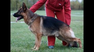 Петро-Марьин Двор Сэти