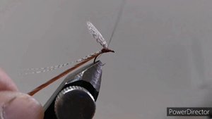 Сухая (крылатая) мушка для ловли хариуса и другой, мирной рыбы на течении нахлыстом.