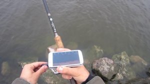 Deeper Smart Fishfinder. Тест эхолота на Финском заливе