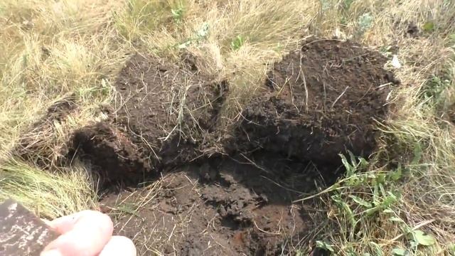 Поиск клада в старой, заброшенной деревне