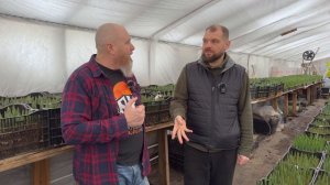 Выращиваете тюльпаны?! Тогда мы едем к вам!