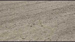 Культиватор Компакт ТМ-8 аналог LEMKEN Kompaktomat 800PS