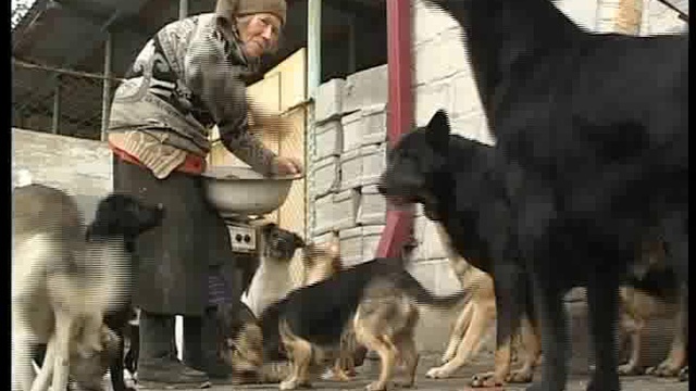 зимовье зверей