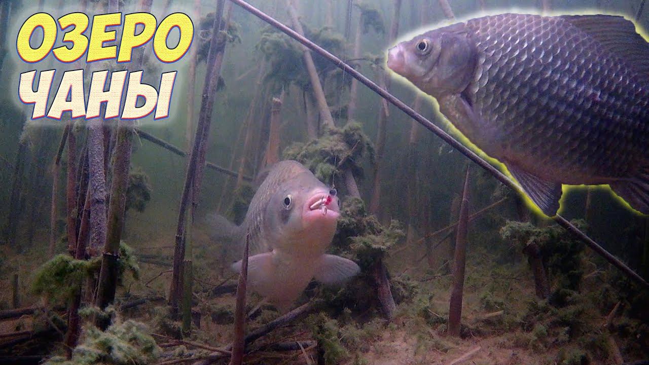 КРАСИВЫЕ ПОКЛЕВКИ КРУПНЫМ ПЛАНОМ! НОЧЮЕМ НА ЛЬДУ. ЗИМНЯЯ РЫБАЛКА НА КАРАСЯ. смотреть онлайн