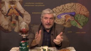 С. Савельев. Как достать сосиску из банки.mp4