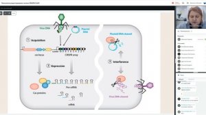 31 32 Технология редактирования генома CRISPR CAS9