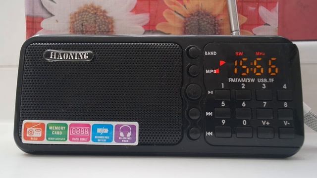 Приём Международного Радио Китая днём 20 января 2022 года, радиоприёмник Haoning смотреть онлайн