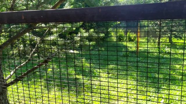 У БАБУШКИ С ДЕДОМ ВЫХОДНОЙ смотреть онлайн