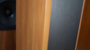 Lại là Focal Jmlap Cobalt 816s. siêu đẹp. chất âm Hi End giá chỉ 21,5tr. (0982922168). thaks!