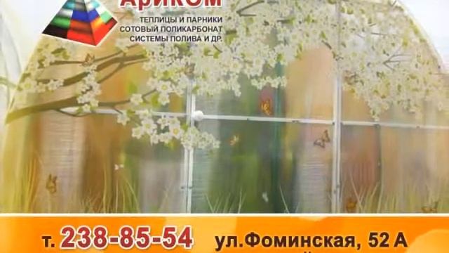 Компания Ариком