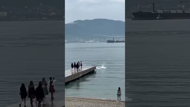 С пирса прямо в море: выпускной по-новороссийски