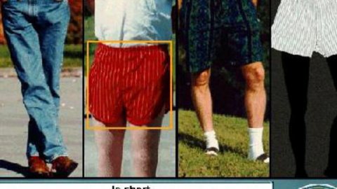 французский язык тема одежда