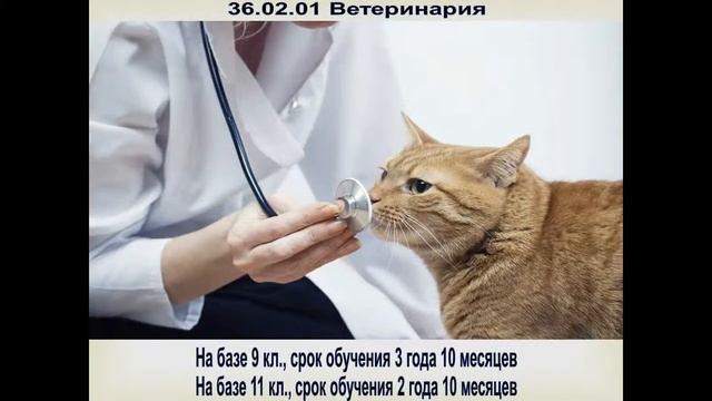 Финансово-технологический колледж , г.Саратов смотреть онлайн