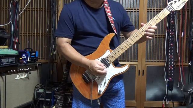 SCHECTER SD-2-24-AL＆Hot Chili Tube Company Tubester Overdrive DS-1 смотреть онлайн