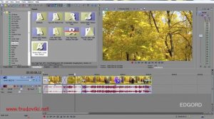 Урок 8 Монтаж видео в Sony Vegas.