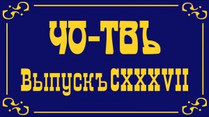 Аэростат над Америкой: а тигра, оказывается, можно дергать за усы!