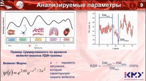 Ю. Локтионова. Оценка перераспределения кровотока в микроциркуляторном русле