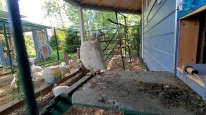 Осторожно,  двери открываются!