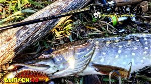 ЛОВЛЯ ЩУКИ ОСЕНЬЮ НА МАЛОЙ РЕКЕ. ТРУДОВАЯ РАЗДАЧА ЩУКИ.