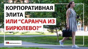 Как выбрать место для работы? | Выбор работодателя со стороны соискателя