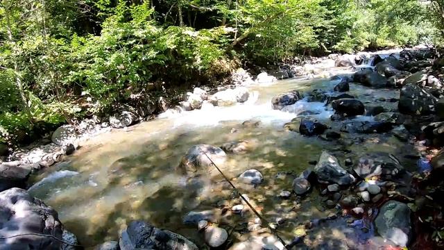 Чем короче спиннинг, тем лучше? Мой новый коротыш -Tenryu Rayz 39LL? смотреть онлайн