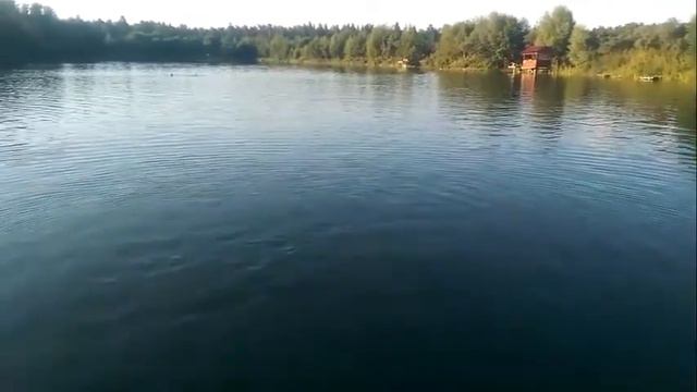 Коняшино