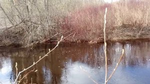 УРОВЕНЬ ВОДЫ УПАЛ / В ДЕРЕВНЕ