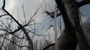 гидротаран