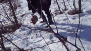 Сирена воздушной тревоги