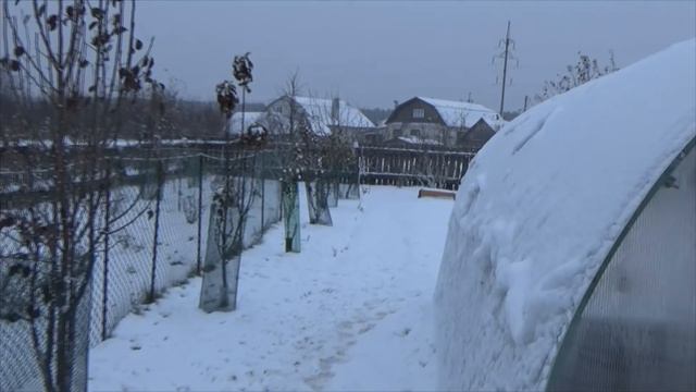 Содержание гусей зимой