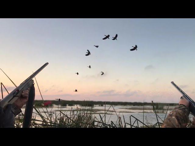 На озере долбим уток из мр 27 и мр 155. Мы не браконьеры. смотреть онлайн